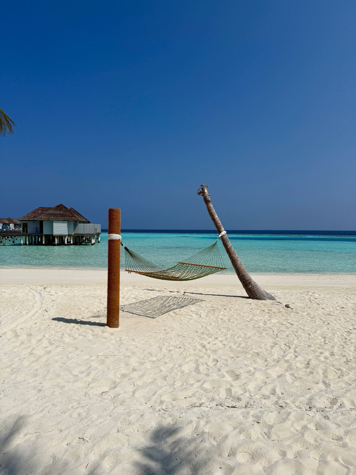 Hammock strung between a palm and post on a white Maldivian beach