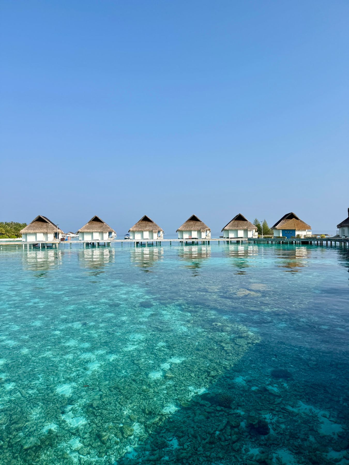Row of thatched overwater villas above a clear Maldivian lagoon
