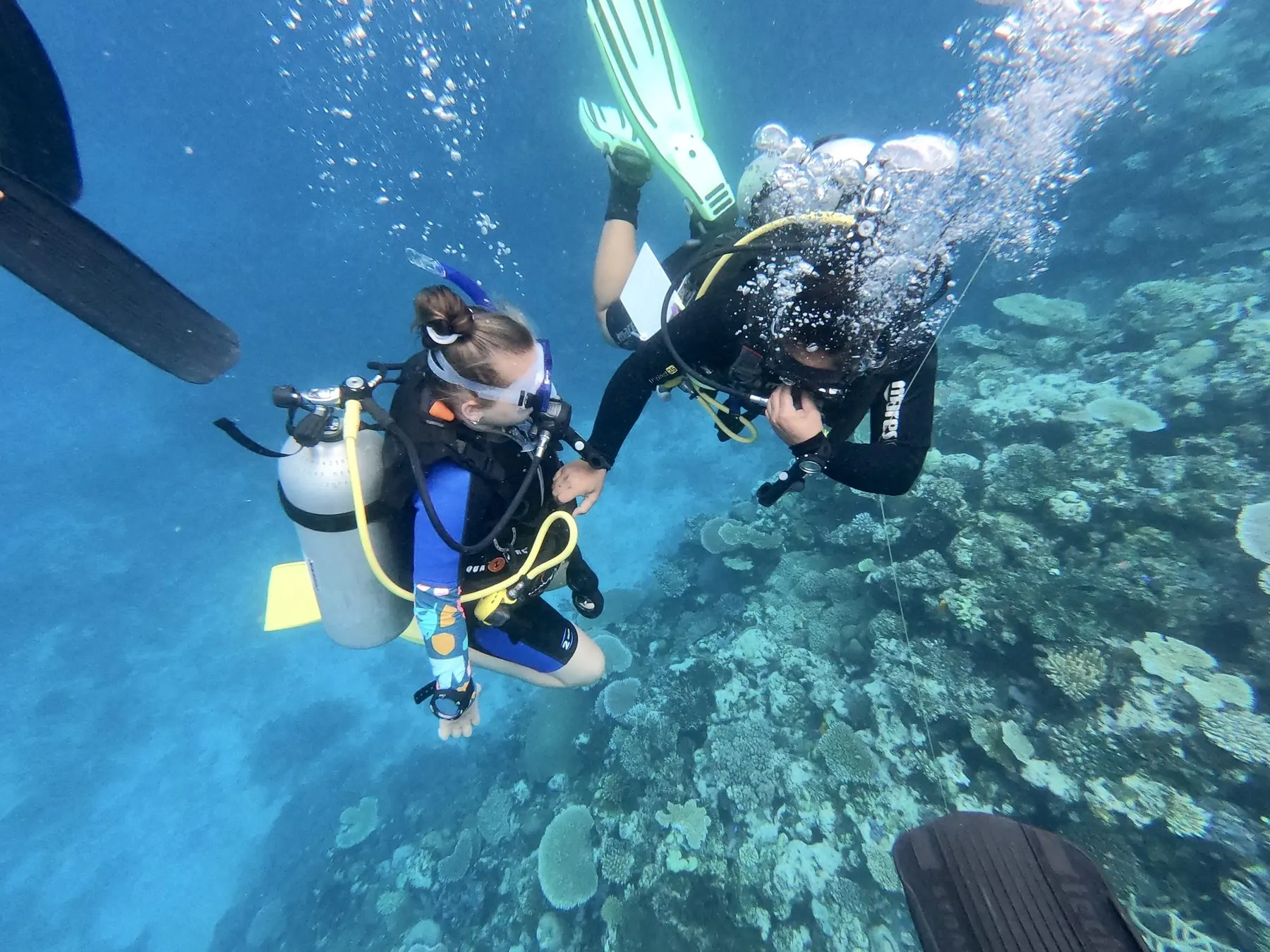 Reef & Ray Explorer
